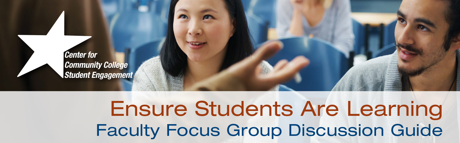 Graphical Banner for Faculty Focus Group